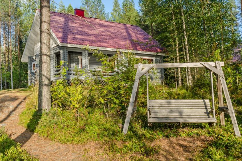 Koli, cjoe069 kissankello - foto 2