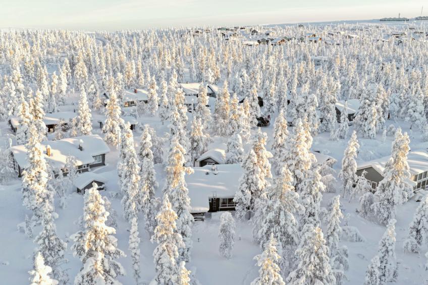 Ahmanpesä - foto 19