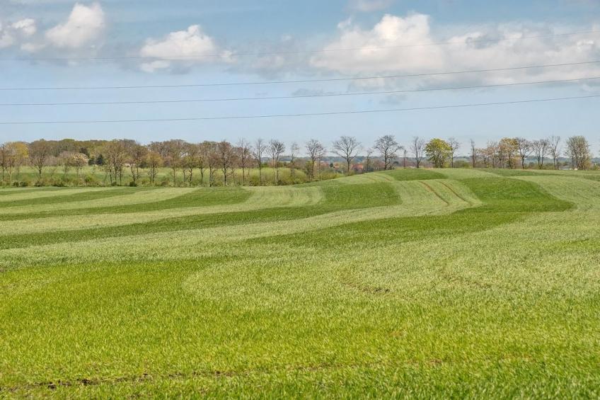 "Henna" - 550m to the inlet in Sealand - foto 7