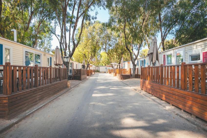 HOLA CAMP SANT SALVADOR-Superior 6 - foto 17