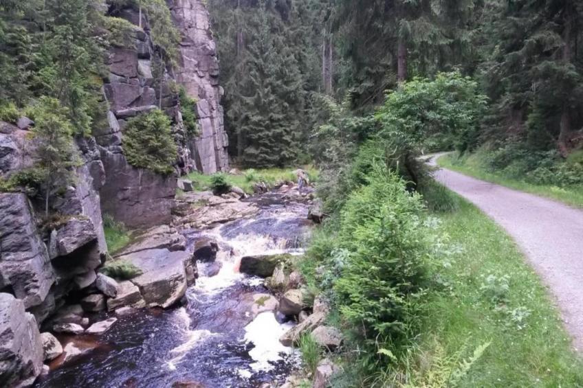 Villa im Erzgebirge - foto 30