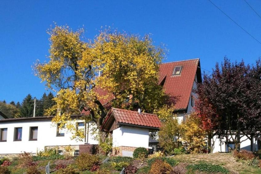 Auf der Sonnenseite - foto 2