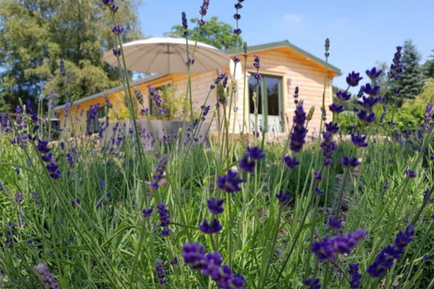 in Atzenhain mit Großer Terrasse - foto 2