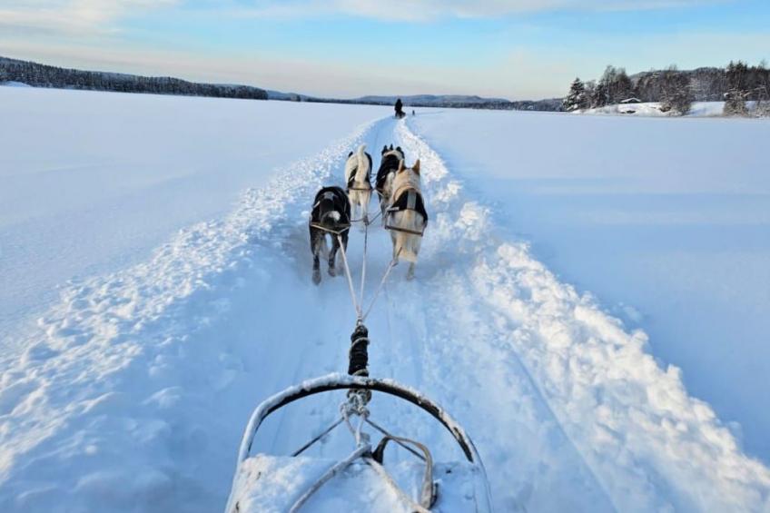 Ölrun Stuga - foto 46