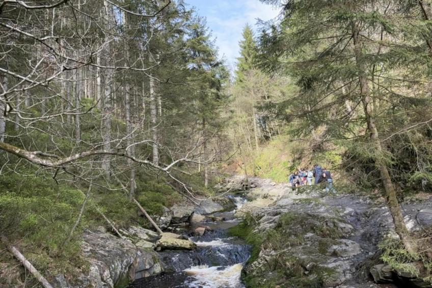 De Sterrenhemel - foto 27