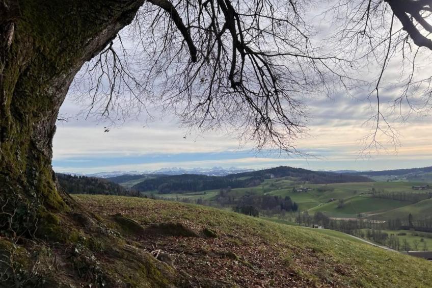 Berghof Erlebnis - Event-Location auf dem Land - foto 14