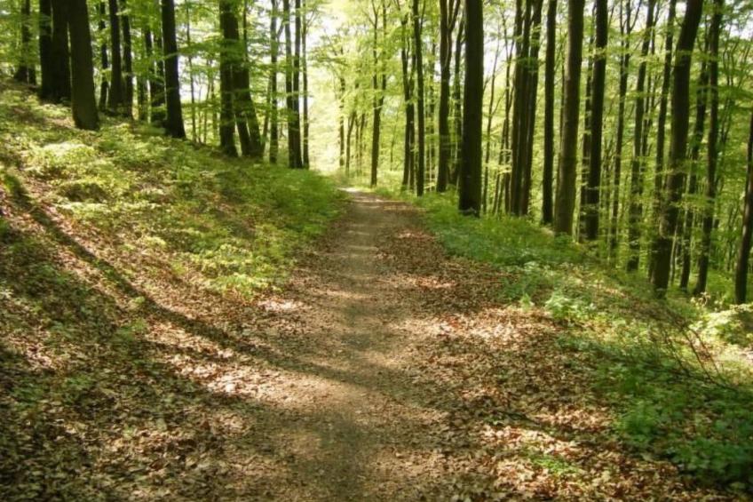 Rübezahl am Diemelse - foto 11