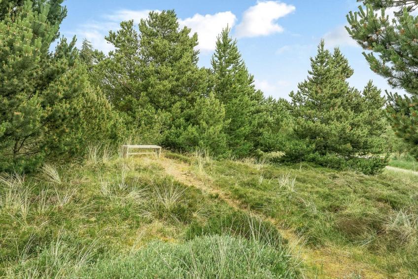 "Hughlek" - 900m from the sea in NW Jutland - foto 22