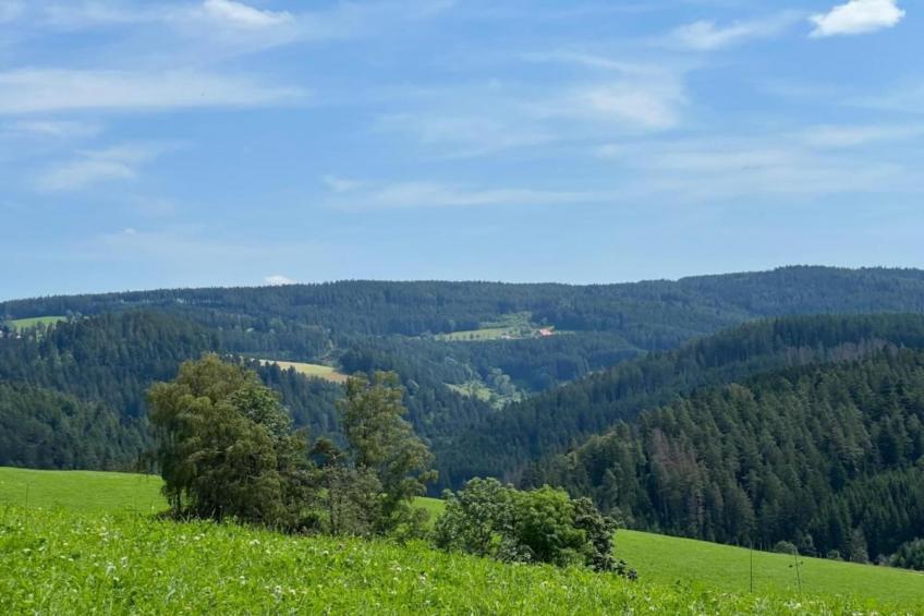 Zinkenmühle - foto 27