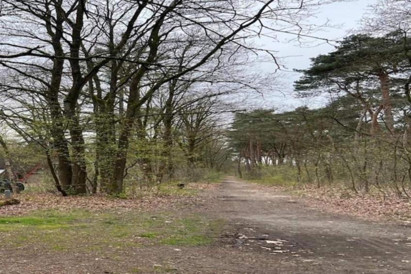 Bungalow 87 - foto 24