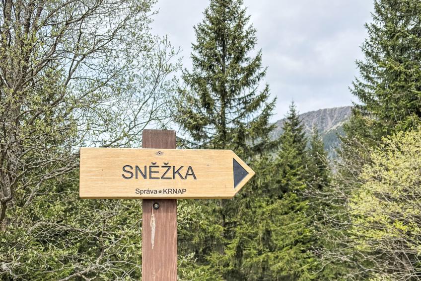 U Dvou vleků - foto 62