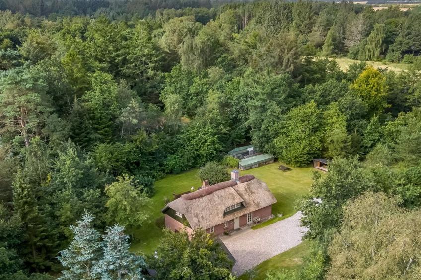 "Hilaria" - 2.1km from the sea - foto 4