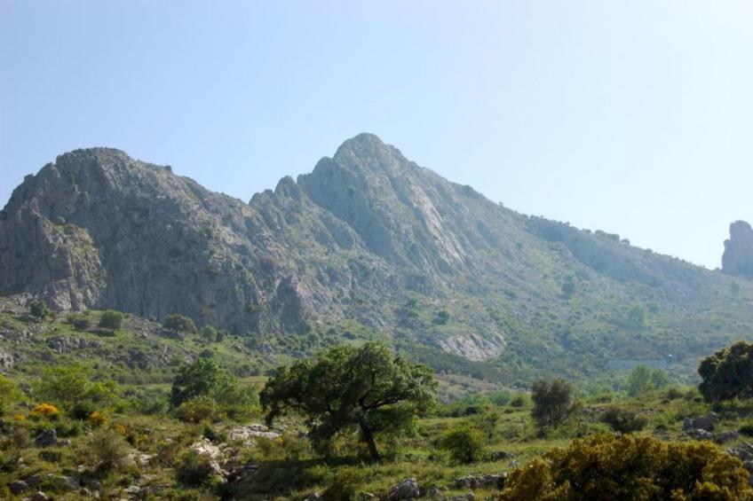 Cortijo Los Alazores - foto 31