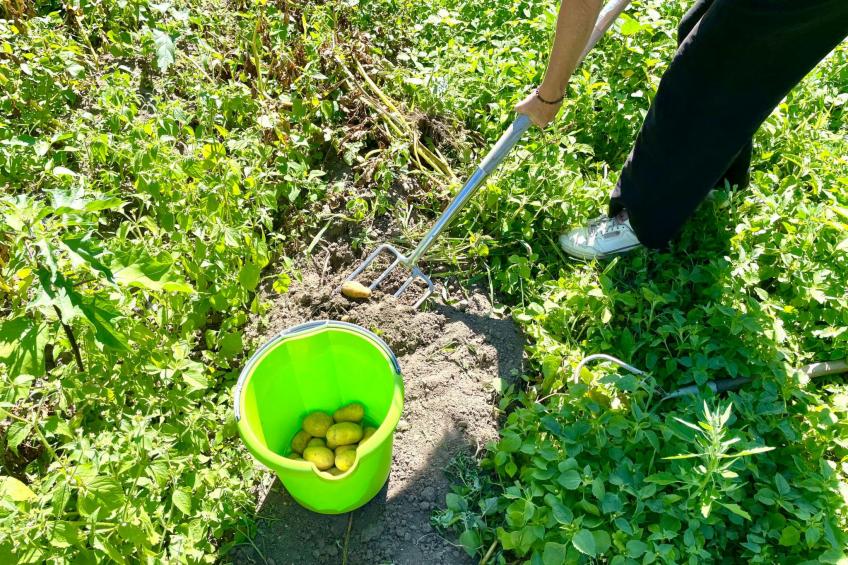 Glamping in der Orangerie - foto 16