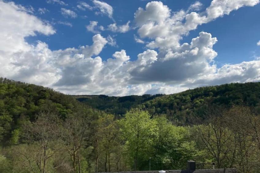 Leora Cocoon - foto 33