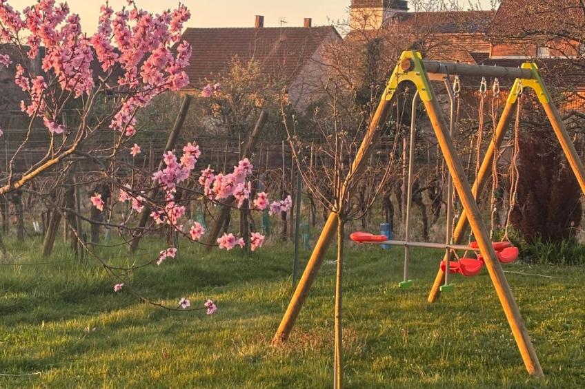 "Gîte des Cigognes" (Storchenhaus) - foto 14