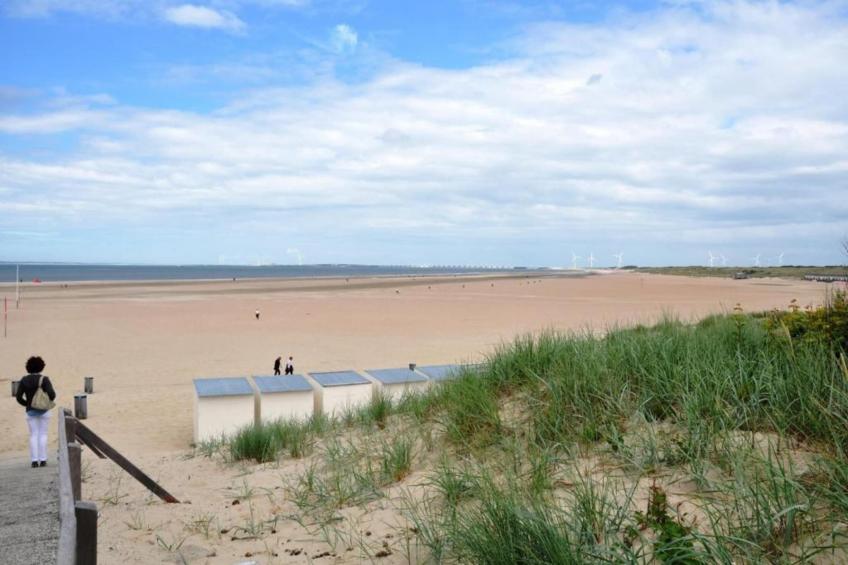 Fort den Haak - Chalet 1 tm 5  hond - foto 31