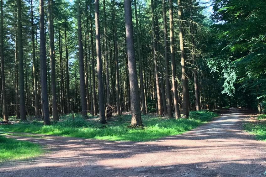 Gästezimmer Eifelglück - foto 26