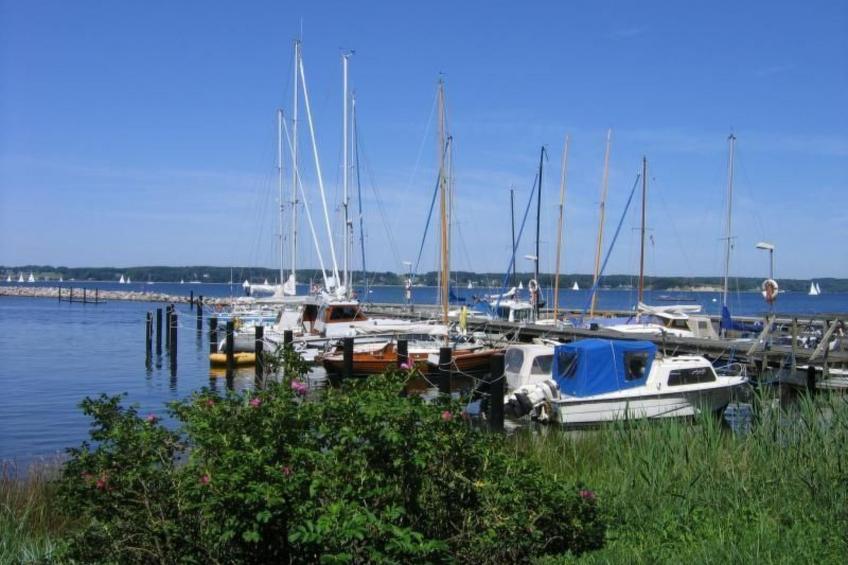 Lovely Place - foto 11