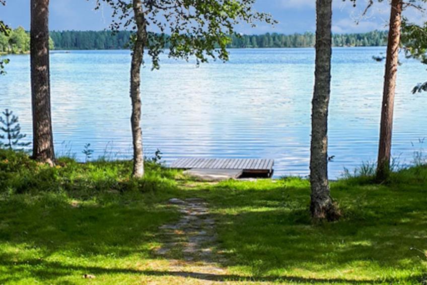 Västäräkki - foto 2