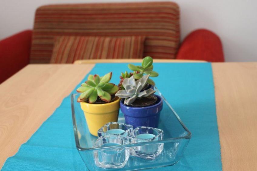 Cuore di Palme Bilo - foto 9