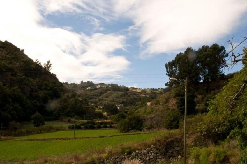 "El Laurel" - foto 20