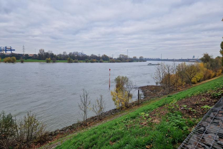 Fewo am Rhein - foto 19