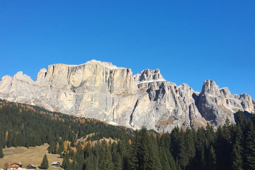 Cesa del sass - foto 39