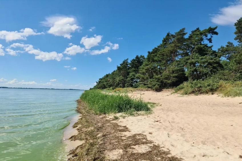 Gutshaus Zicker -Wohnung 3 - foto 22