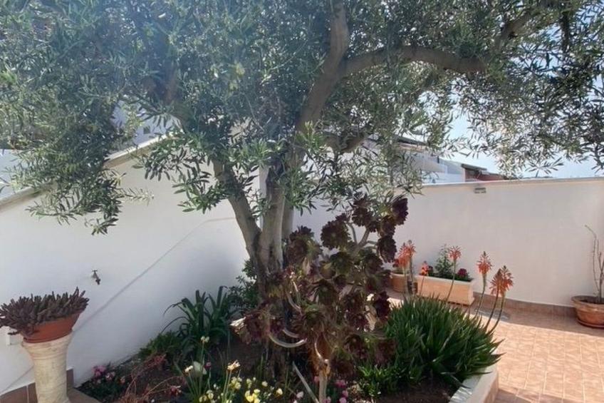 'Sardinia Sunshine - foto 43