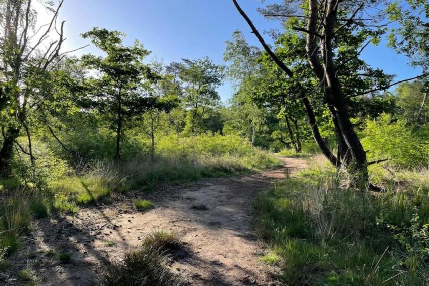 Vakantiepark De Rimboe & De Woeste Hoogte 13 - foto 36