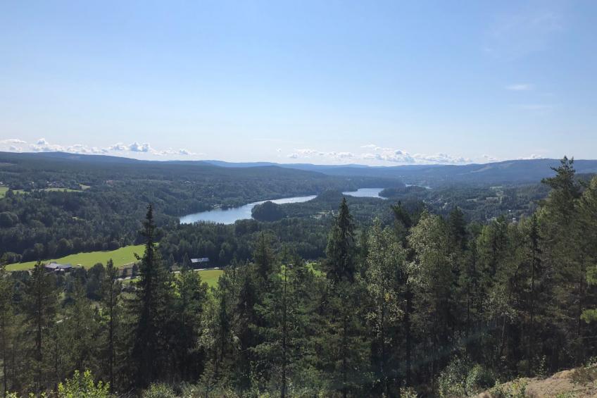 Solbacken Cottage - foto 36