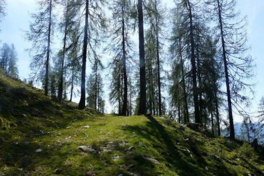 Almhütte Enzian - foto 41