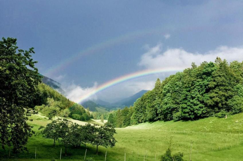 Berghof Montpelon - foto 3