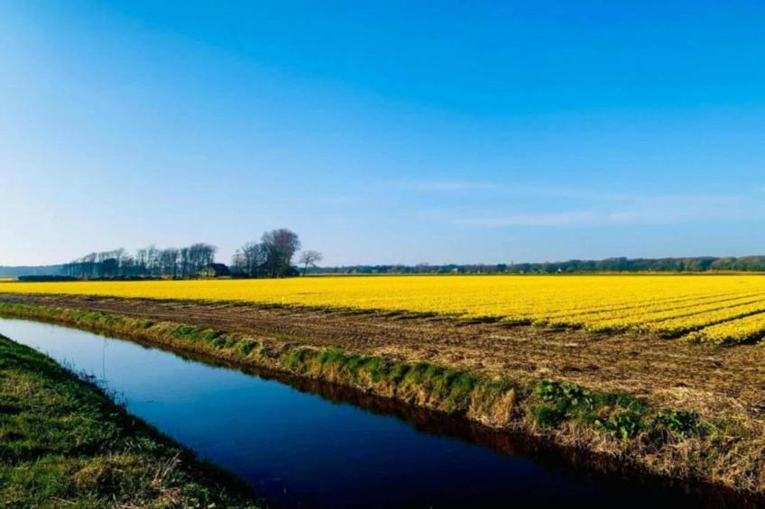 Hof van Craeck II - foto 35