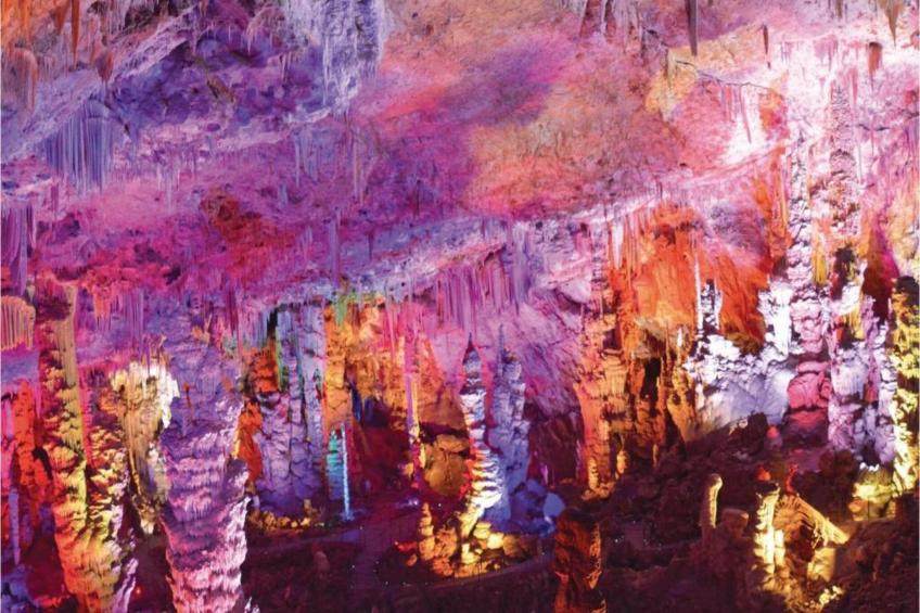 APPARTEMENT LES BROUSSES/LINDE - foto 34