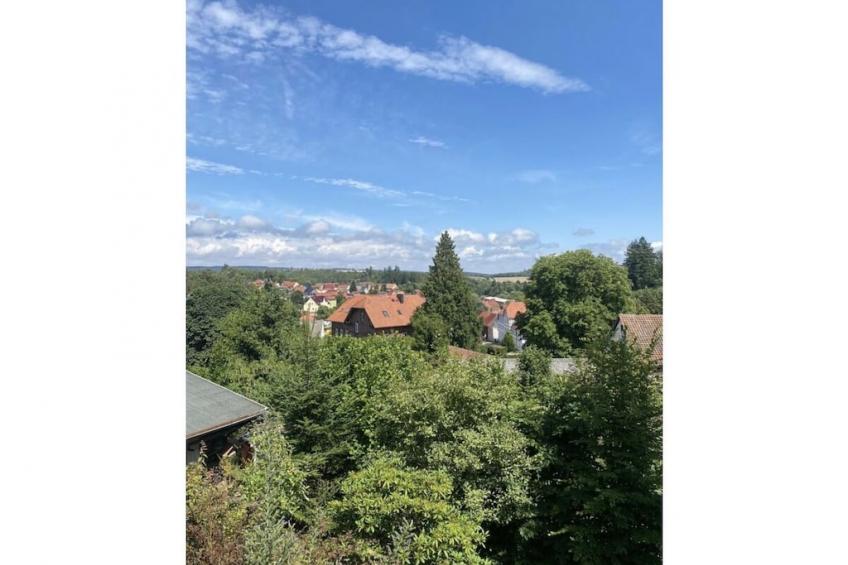 788156 - foto 39