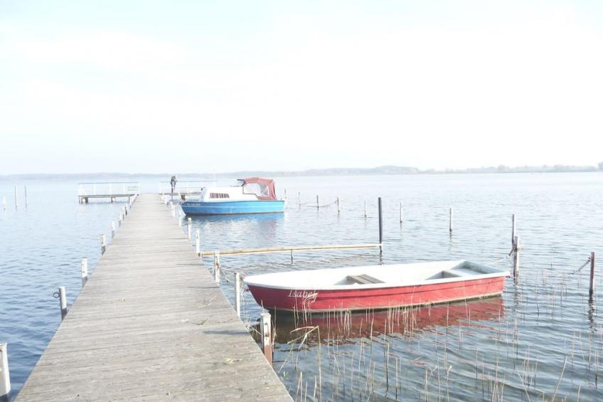 255364 - foto 29