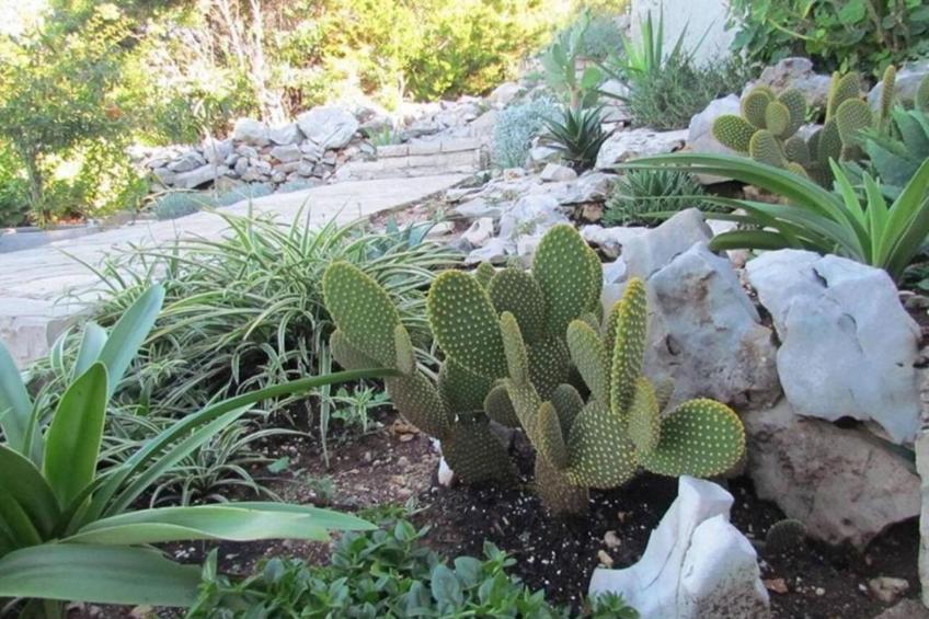 Haus Jakov direkt am Meer - Insel Hvar - foto 38