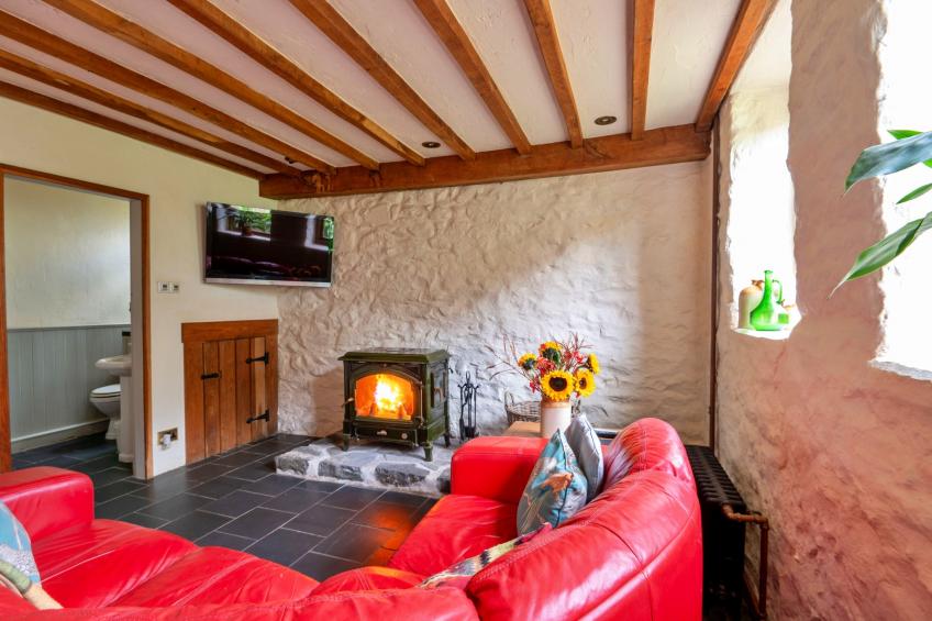 Pandy Farmhouse - foto 2