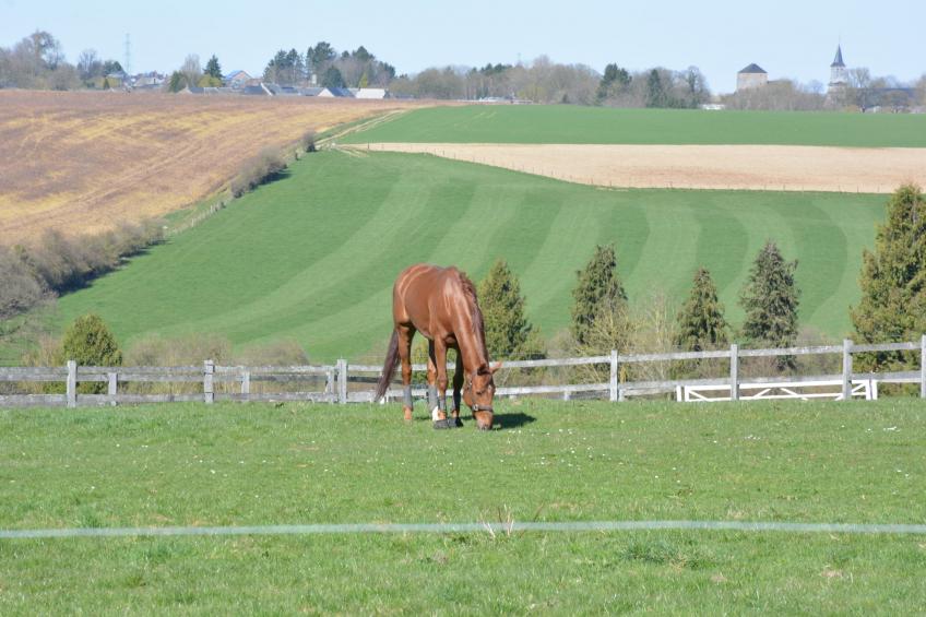 La Cour de Himbe - foto 27