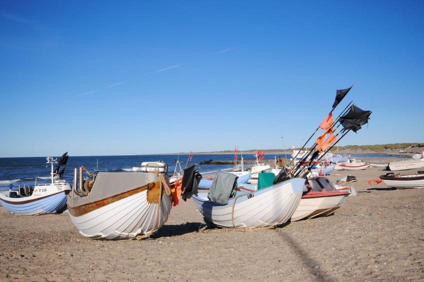 "Minja" - 900m from the sea in NW Jutland - foto 7