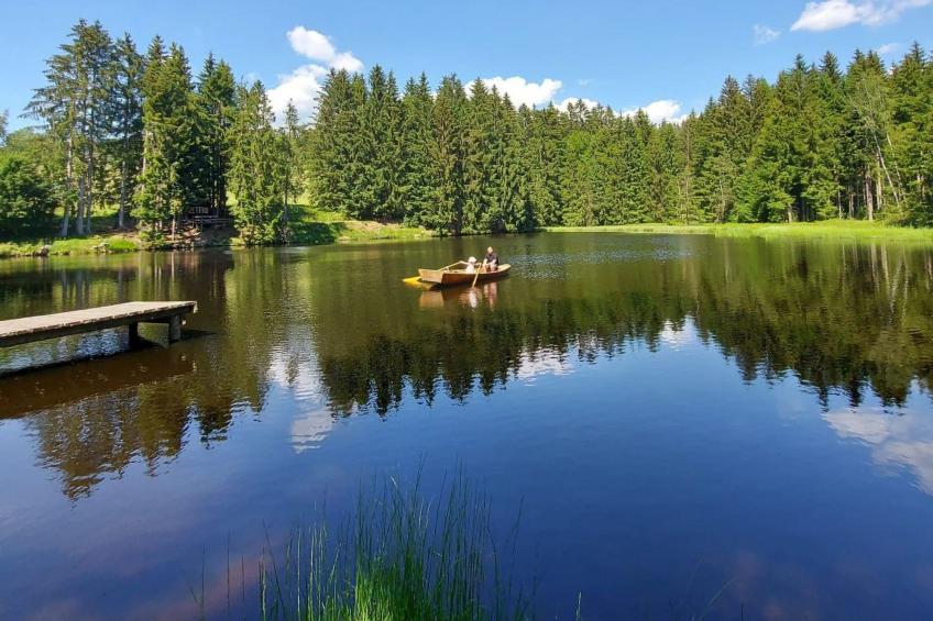 Wohnung Dreisessel im Bayerischen Wald - foto 17