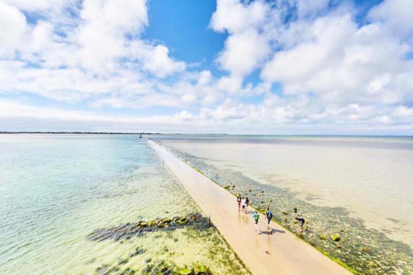 Maison à Barbâtre - Ile de Noirmoutier - foto 19