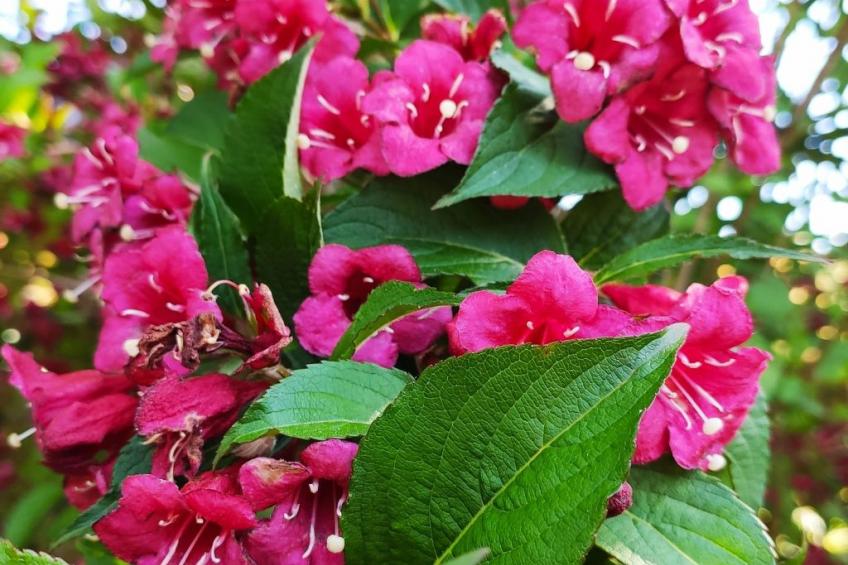 Fachwerkhaus "La Longère" Escapade Normande - foto 30