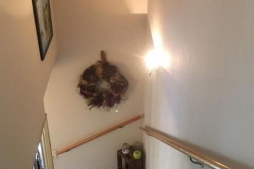 Modernisierte Ferienwohnung mit Balkon - foto 44