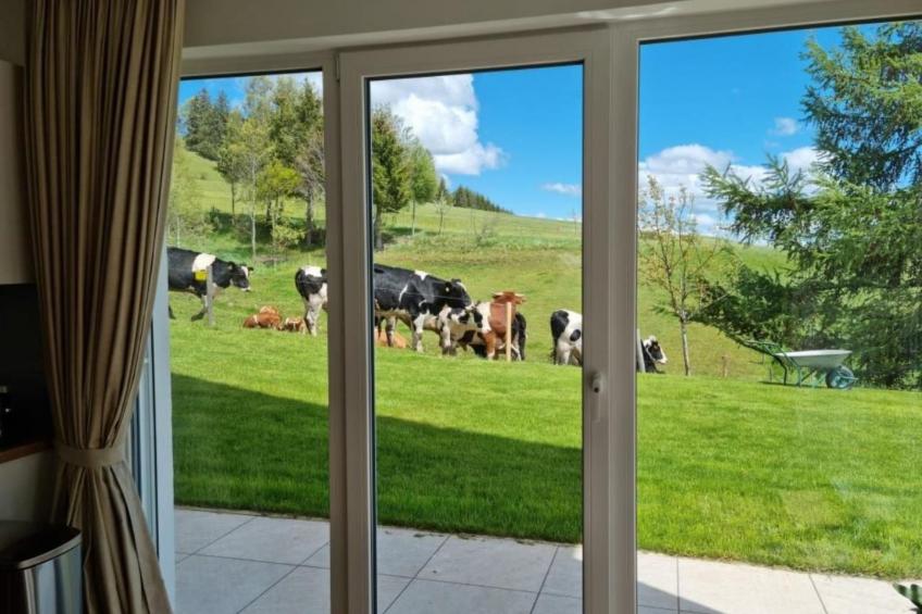 Luxus-Appartement in Kappel - foto 10