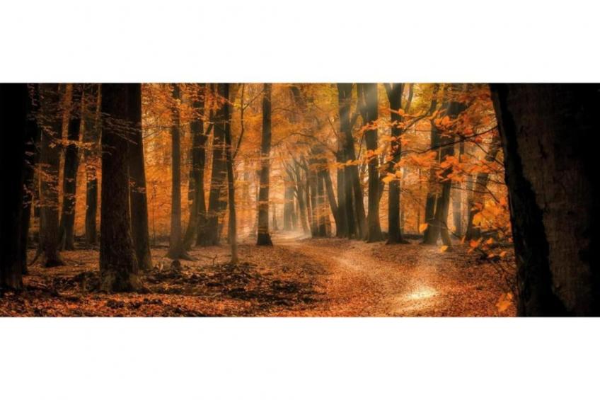 Heivlinder 4p - foto 31