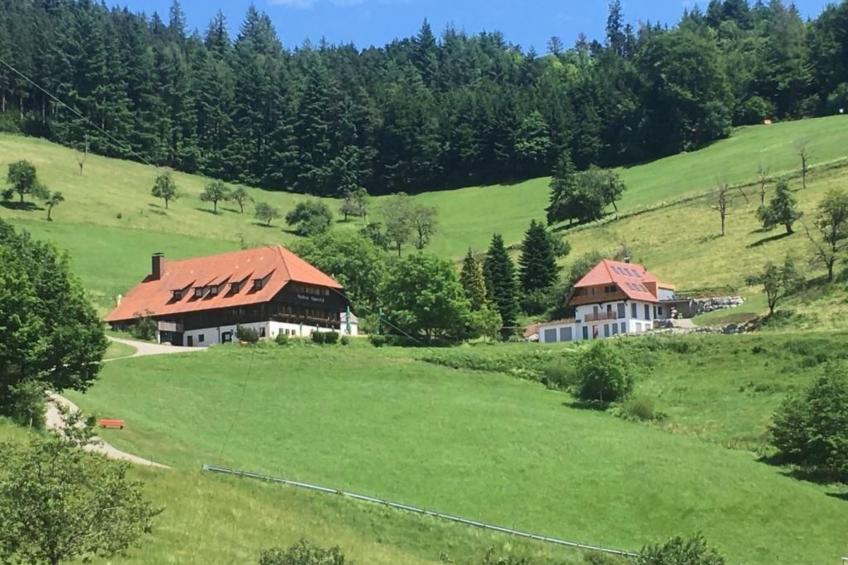 Haus mit Whirlpool, Sauna und Schwarzwaldblick - foto 38