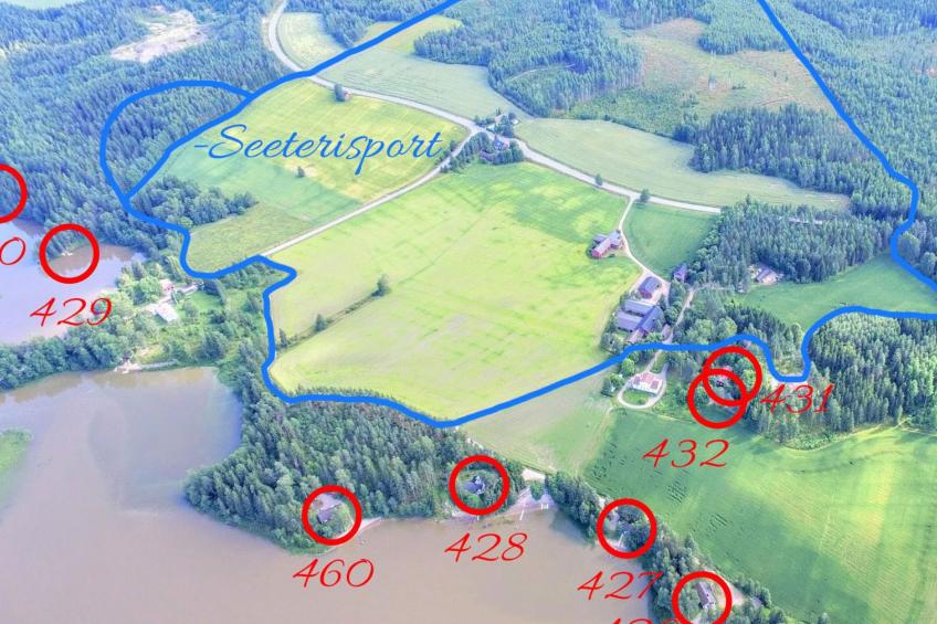 Punatulkku, seeteri - foto 36